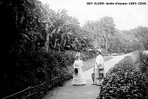 087- Alger- Jardin d'essai- 1897- Collection CDHA